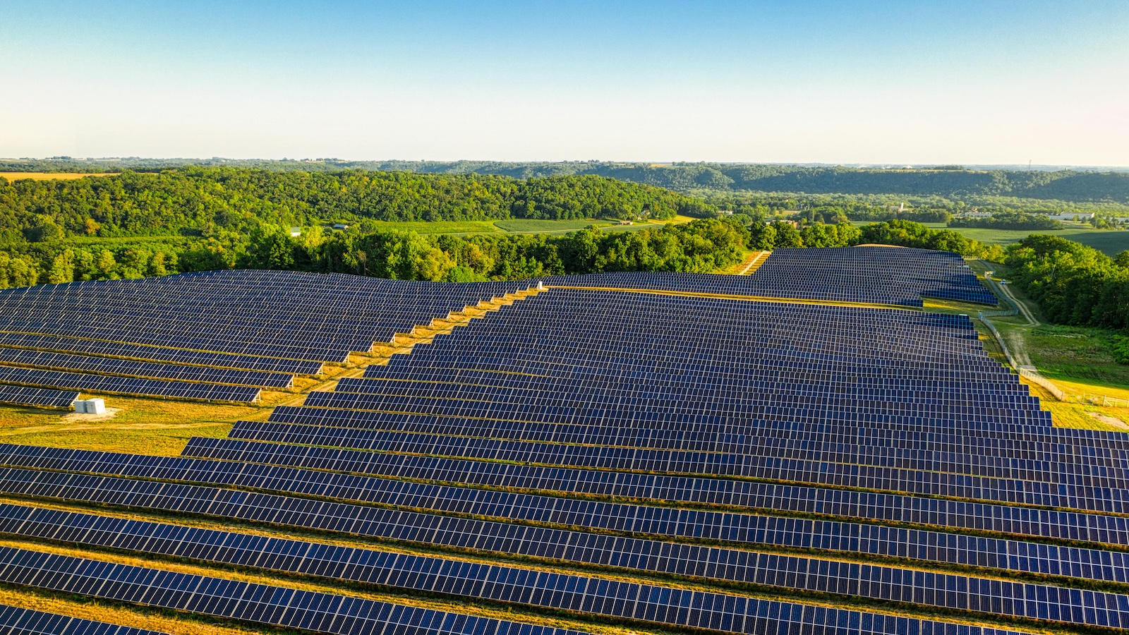 Hundreds of dark solar panels in lines across a field in front of bright green trees and a blue sky